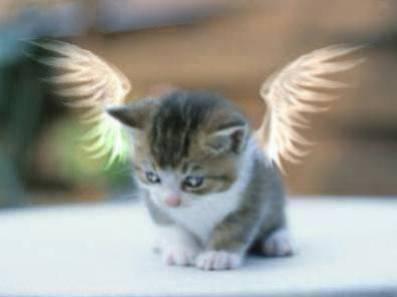 mon ange